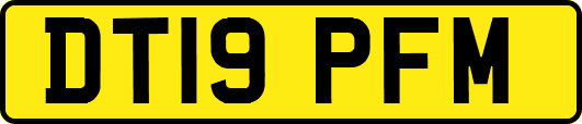 DT19PFM