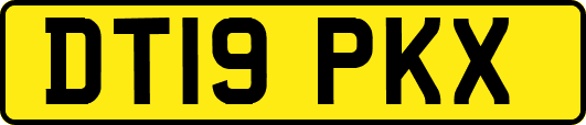 DT19PKX