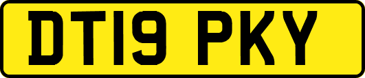 DT19PKY