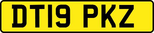 DT19PKZ