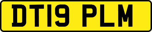 DT19PLM