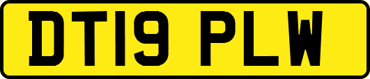 DT19PLW