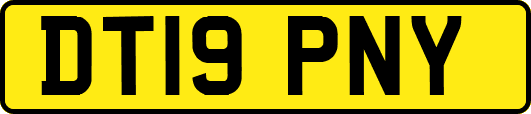 DT19PNY