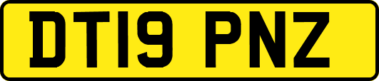 DT19PNZ