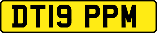 DT19PPM