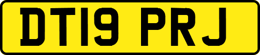 DT19PRJ