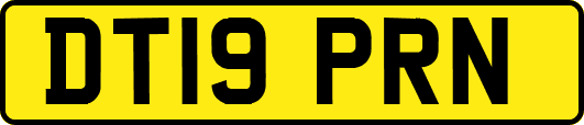 DT19PRN