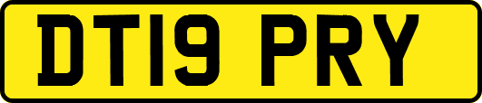 DT19PRY