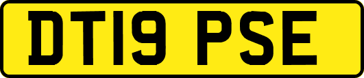 DT19PSE