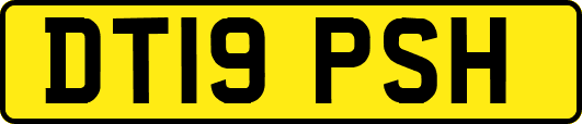 DT19PSH