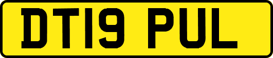 DT19PUL