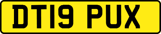 DT19PUX