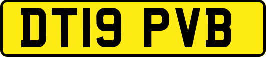 DT19PVB