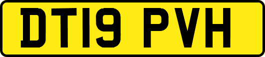 DT19PVH