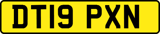 DT19PXN