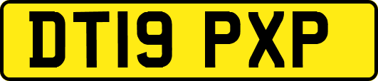 DT19PXP