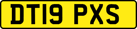 DT19PXS