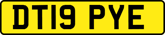 DT19PYE