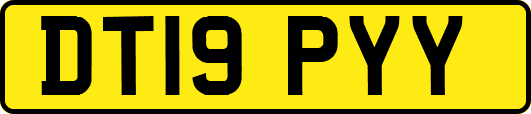 DT19PYY