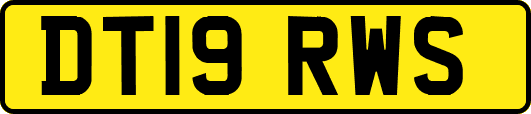 DT19RWS