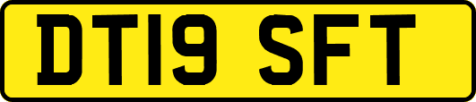 DT19SFT