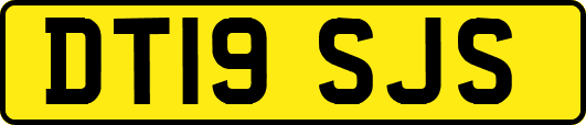 DT19SJS