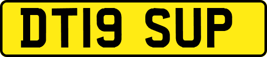 DT19SUP