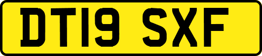 DT19SXF