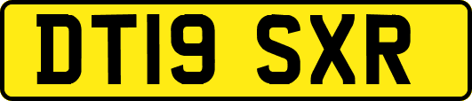 DT19SXR