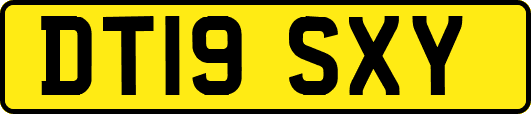 DT19SXY