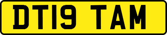 DT19TAM