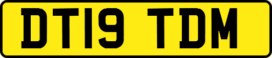 DT19TDM