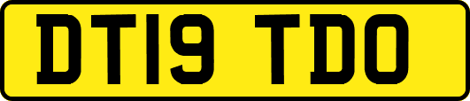 DT19TDO