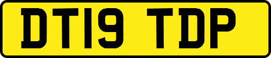 DT19TDP