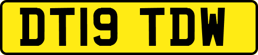 DT19TDW