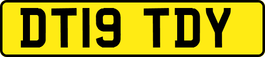 DT19TDY