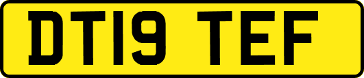 DT19TEF