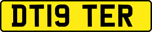 DT19TER