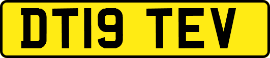 DT19TEV