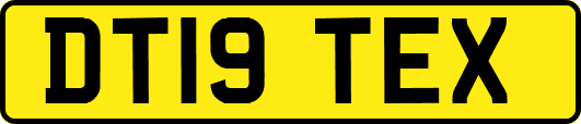 DT19TEX