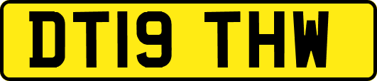 DT19THW