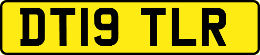 DT19TLR