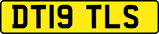 DT19TLS