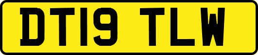 DT19TLW