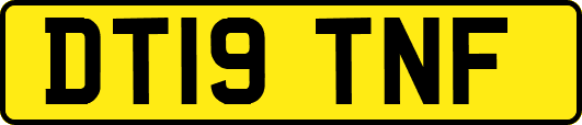 DT19TNF