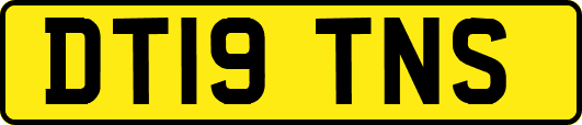 DT19TNS