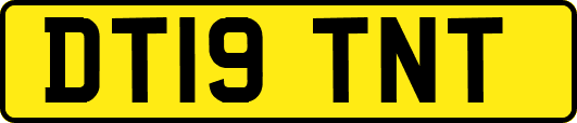 DT19TNT