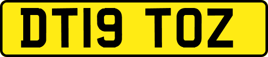 DT19TOZ