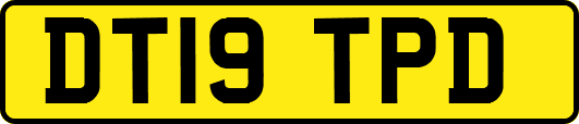 DT19TPD