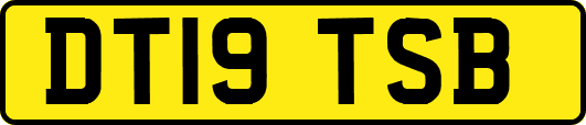 DT19TSB